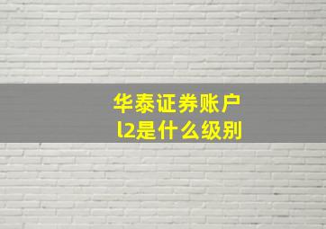 华泰证券账户l2是什么级别