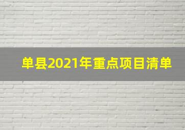 单县2021年重点项目清单