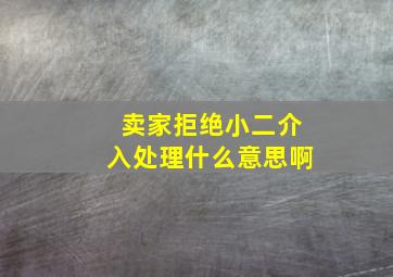 卖家拒绝小二介入处理什么意思啊