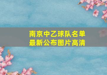 南京中乙球队名单最新公布图片高清