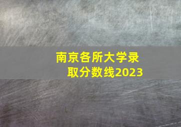 南京各所大学录取分数线2023