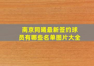 南京同曦最新签约球员有哪些名单图片大全