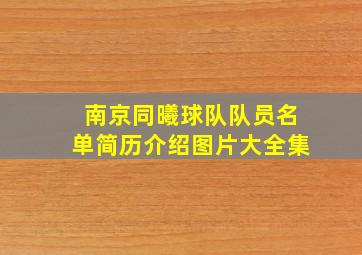 南京同曦球队队员名单简历介绍图片大全集