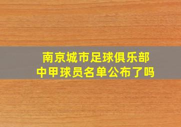 南京城市足球俱乐部中甲球员名单公布了吗