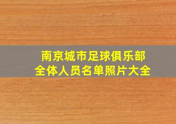 南京城市足球俱乐部全体人员名单照片大全