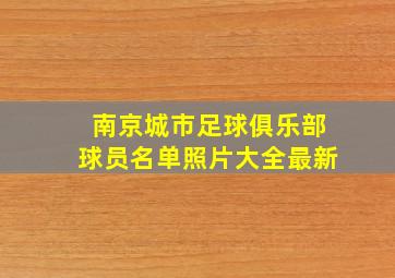 南京城市足球俱乐部球员名单照片大全最新