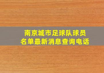 南京城市足球队球员名单最新消息查询电话