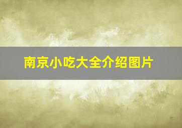 南京小吃大全介绍图片