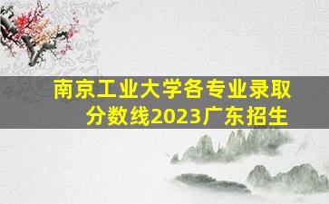 南京工业大学各专业录取分数线2023广东招生