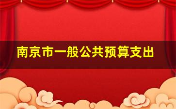 南京市一般公共预算支出