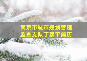 南京市城市规划管理监查支队丁建平简历