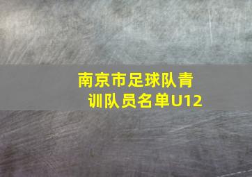 南京市足球队青训队员名单U12