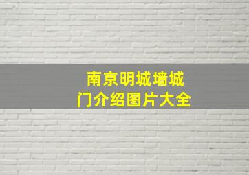 南京明城墙城门介绍图片大全