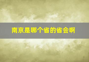 南京是哪个省的省会啊