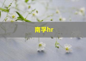 南孚hr