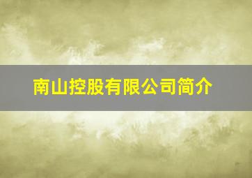 南山控股有限公司简介