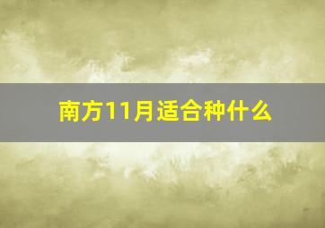 南方11月适合种什么