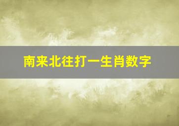 南来北往打一生肖数字