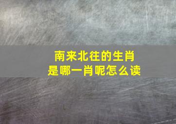 南来北往的生肖是哪一肖呢怎么读