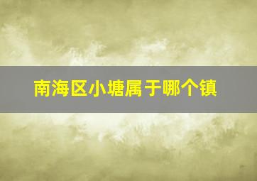 南海区小塘属于哪个镇