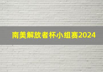 南美解放者杯小组赛2024