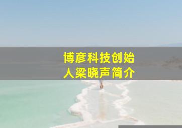 博彦科技创始人梁晓声简介