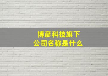 博彦科技旗下公司名称是什么