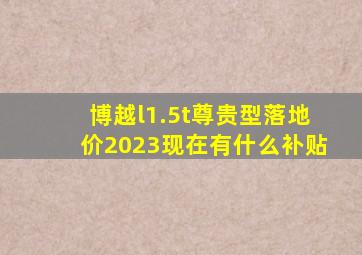 博越l1.5t尊贵型落地价2023现在有什么补贴