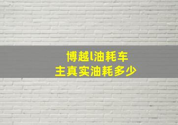 博越l油耗车主真实油耗多少