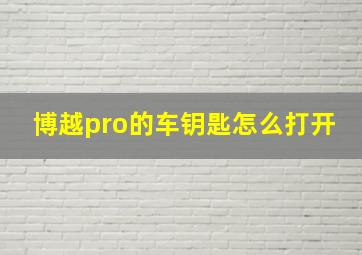 博越pro的车钥匙怎么打开