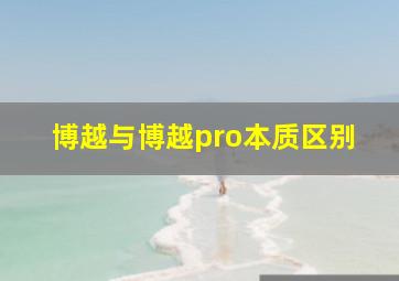 博越与博越pro本质区别