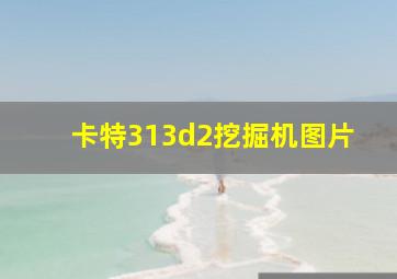 卡特313d2挖掘机图片