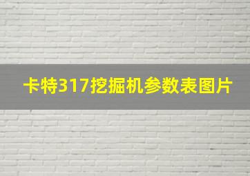 卡特317挖掘机参数表图片