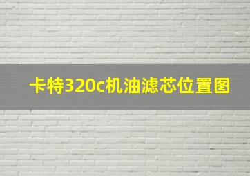 卡特320c机油滤芯位置图