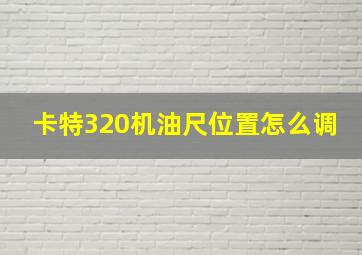 卡特320机油尺位置怎么调