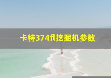 卡特374fl挖掘机参数