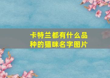 卡特兰都有什么品种的猫咪名字图片