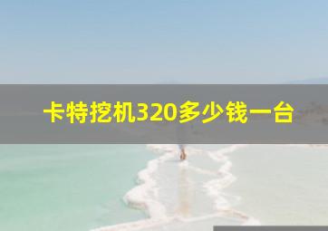 卡特挖机320多少钱一台