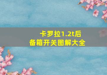 卡罗拉1.2t后备箱开关图解大全