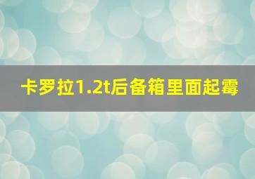 卡罗拉1.2t后备箱里面起霉