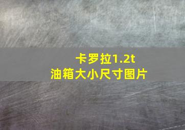 卡罗拉1.2t油箱大小尺寸图片