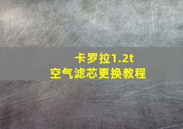 卡罗拉1.2t空气滤芯更换教程