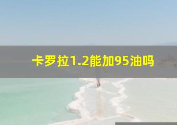 卡罗拉1.2能加95油吗