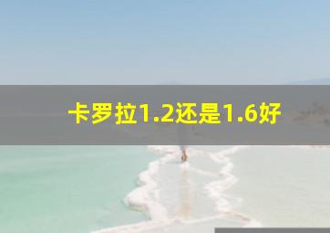 卡罗拉1.2还是1.6好