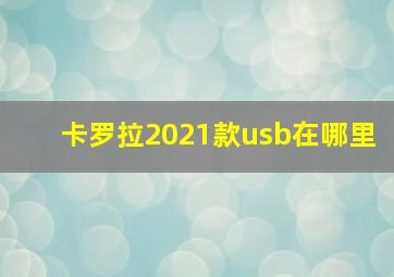 卡罗拉2021款usb在哪里