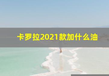 卡罗拉2021款加什么油