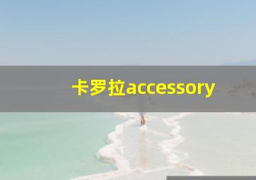 卡罗拉accessory