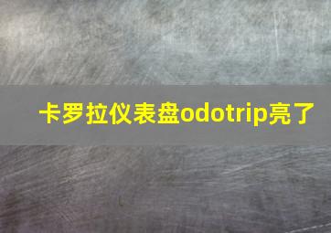 卡罗拉仪表盘odotrip亮了