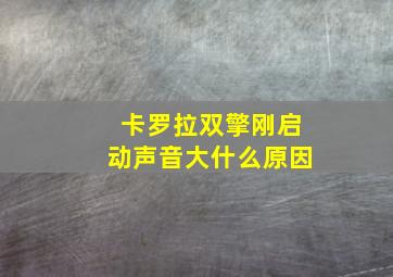 卡罗拉双擎刚启动声音大什么原因