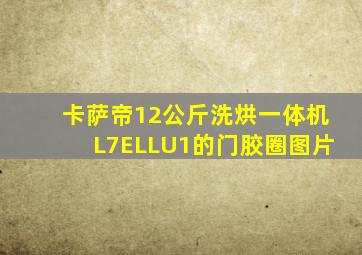 卡萨帝12公斤洗烘一体机L7ELLU1的门胶圈图片